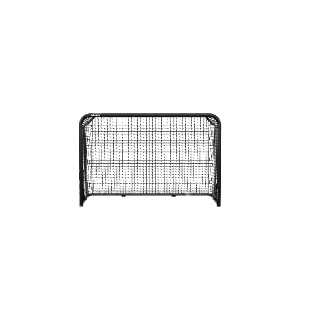 BERG SportsGoal S